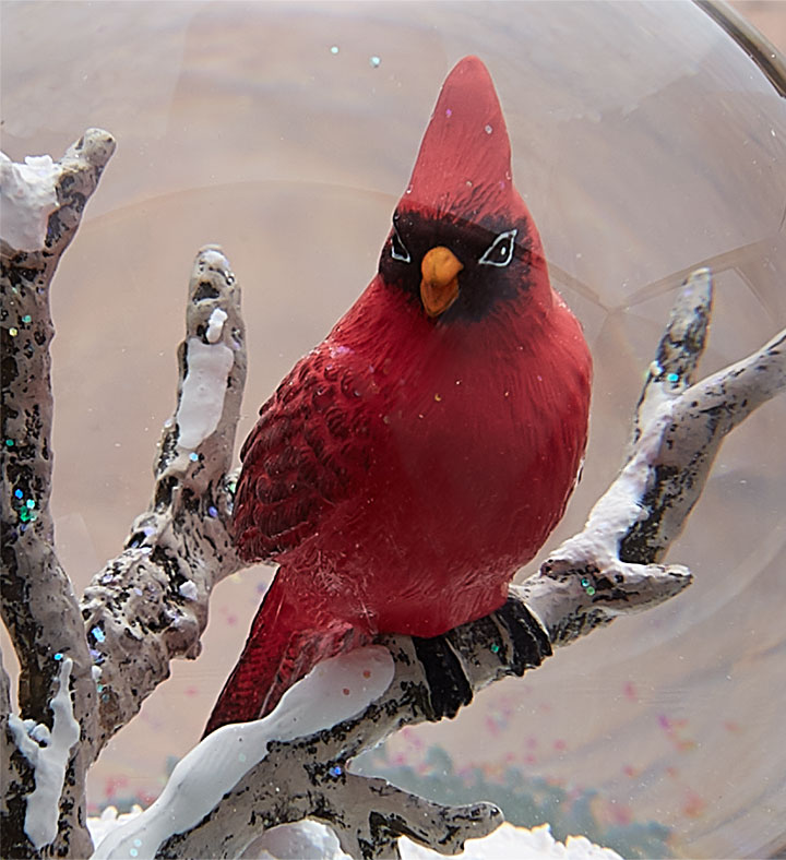 CoolSnowGlobes　Cardinal　Snow　Globe　by
