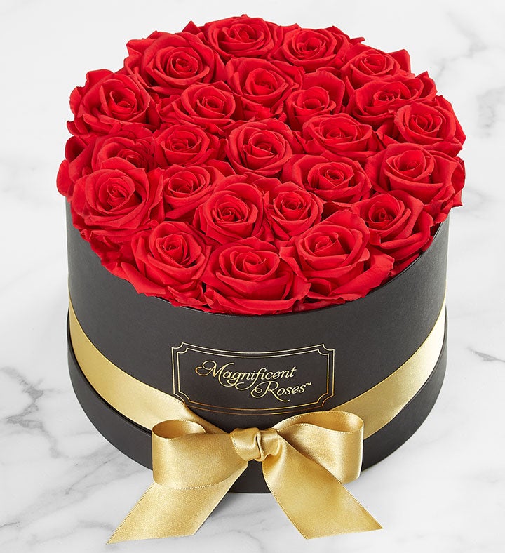 Magnificent Roses® Preserved Red Roses with Gold Ribbon
