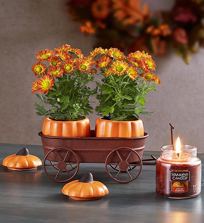 Festive Fall Pumpkin Hayride