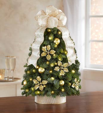 Best Christmas Flowers, Arrangements & Bouquets Delivery | 1800Flowers