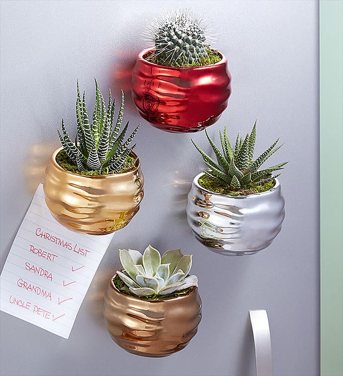 Holiday Ornament Magnetic Succulents