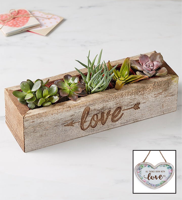 Love is Sweet Succulents