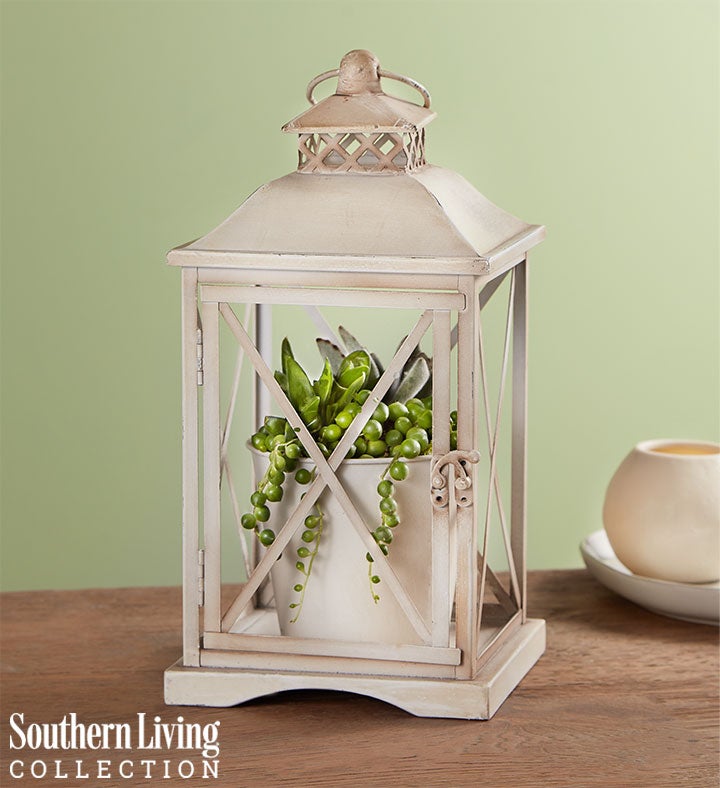 Rustic Lantern Succulents by Southern Living®