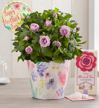 Mother’s Day Flowers | Delivery for Mother’s Day 2020 | 1800Flowers