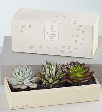 Lulas In Loving Memory Succulents