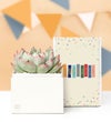 Congrats Succulents by Lula’s Garden®