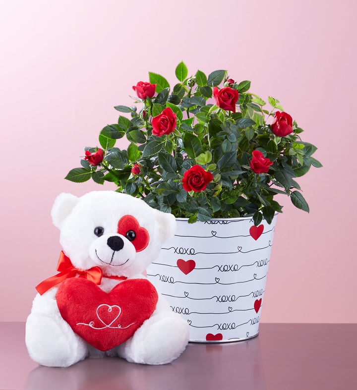 Flower lover online
