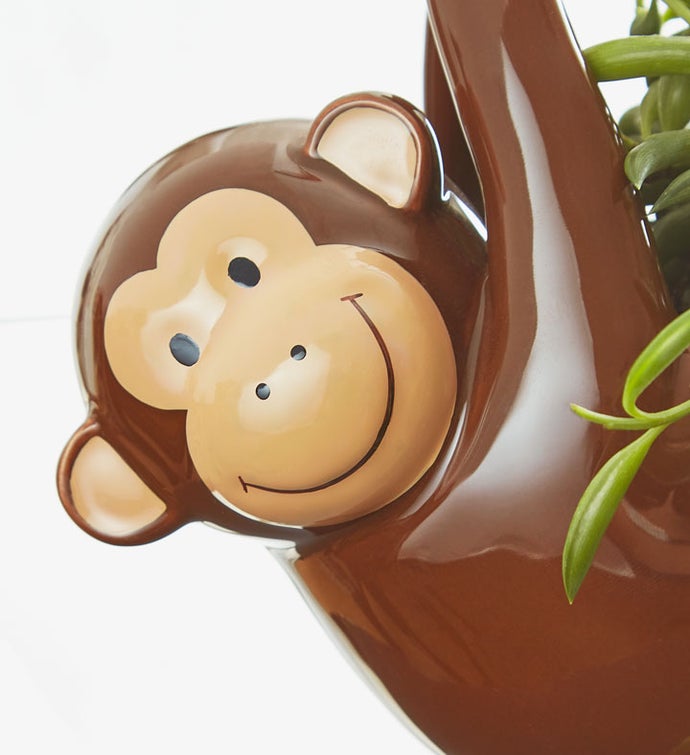FARFALLONI Pot grips  MONKEY BUSINESS - Monkey Business USA