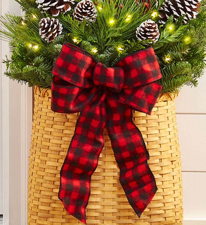 Evergreen Hanging Basket