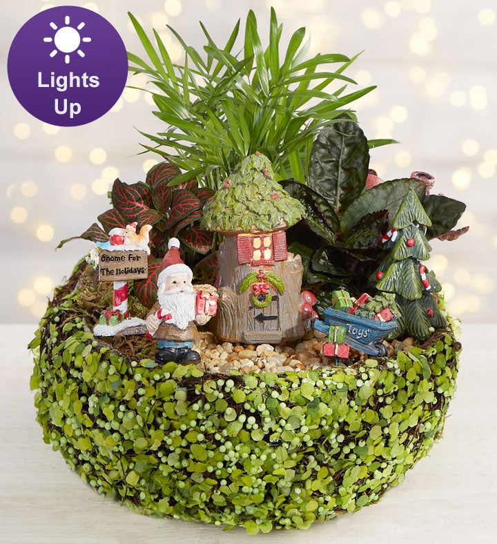 I'll be Gnome for Christmas Garden