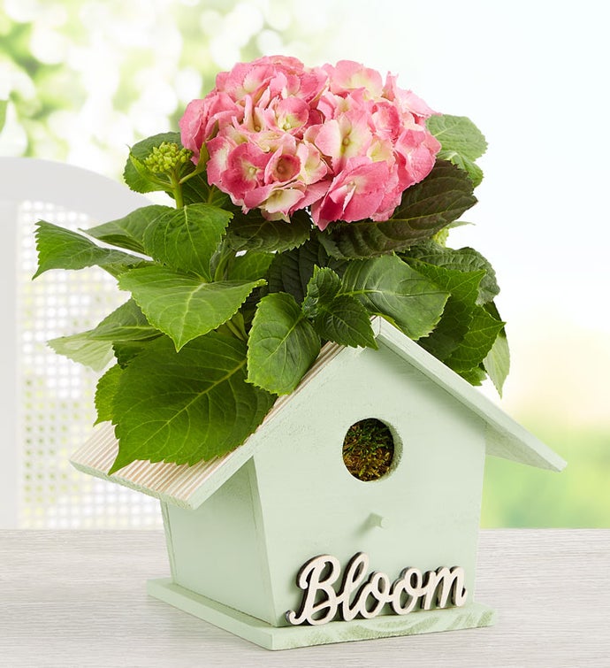 Bird House of Blooms®