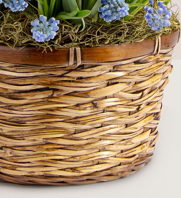 Bountiful Blooms Bulb Garden