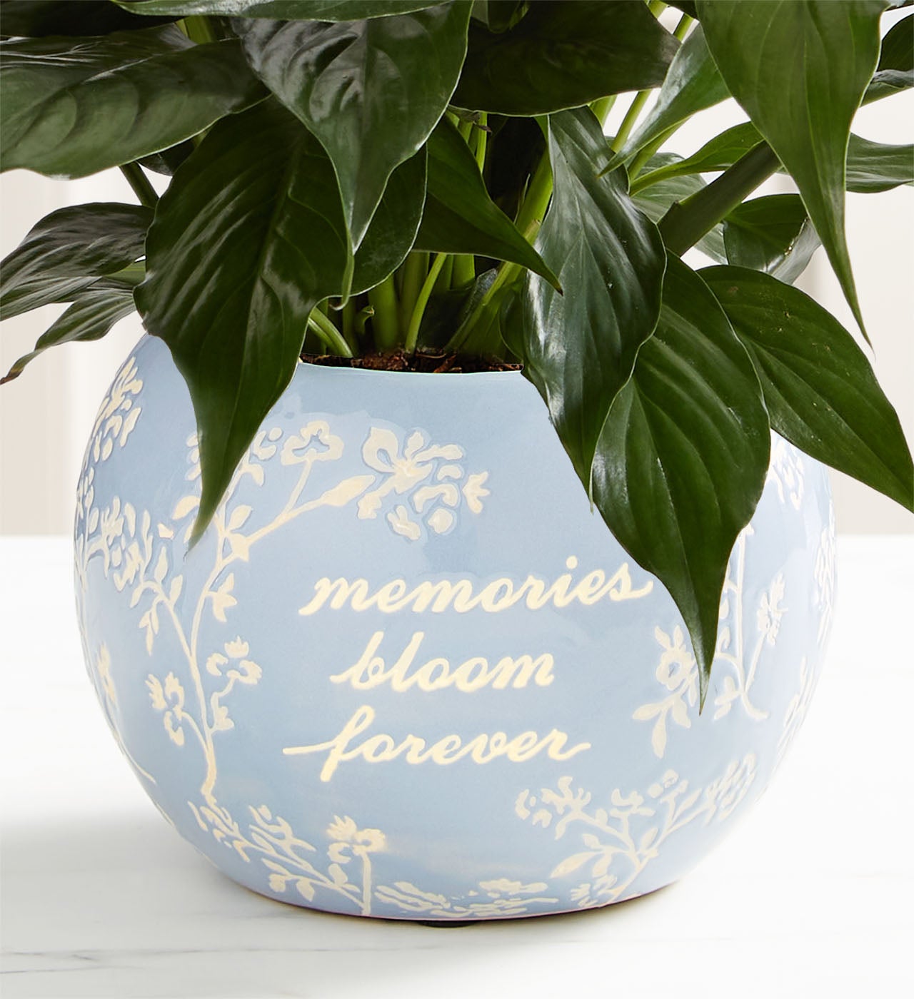 Blooming Memories Peace Lily Plant