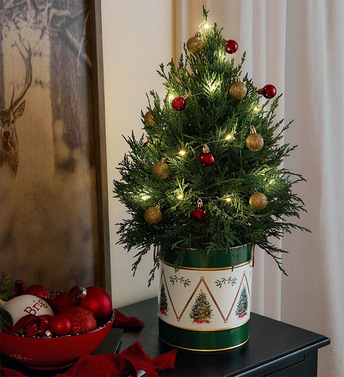 Winter Wishes Cypress Tree