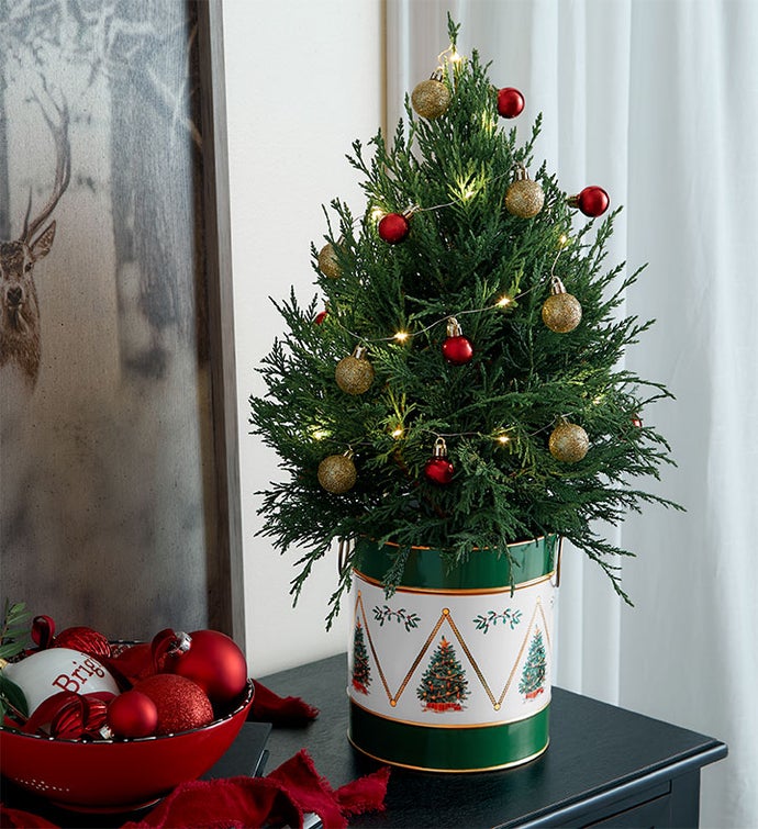 Winter Wishes Cypress Tree