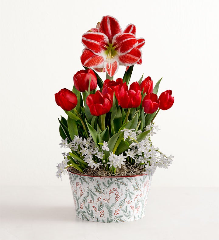 Holiday Charm Bulb Garden