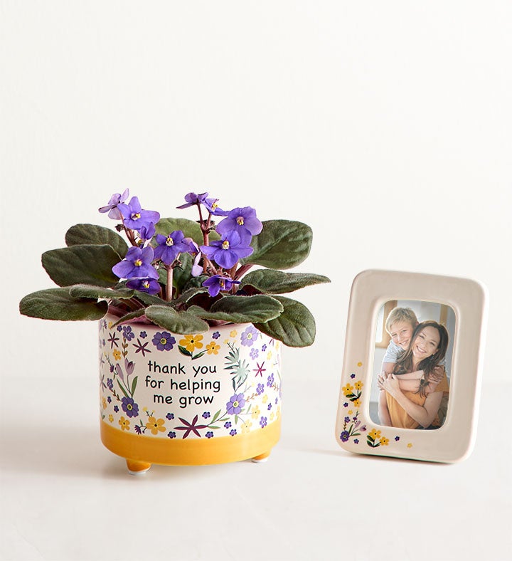 Thanks for Helping Me Grow African Violet