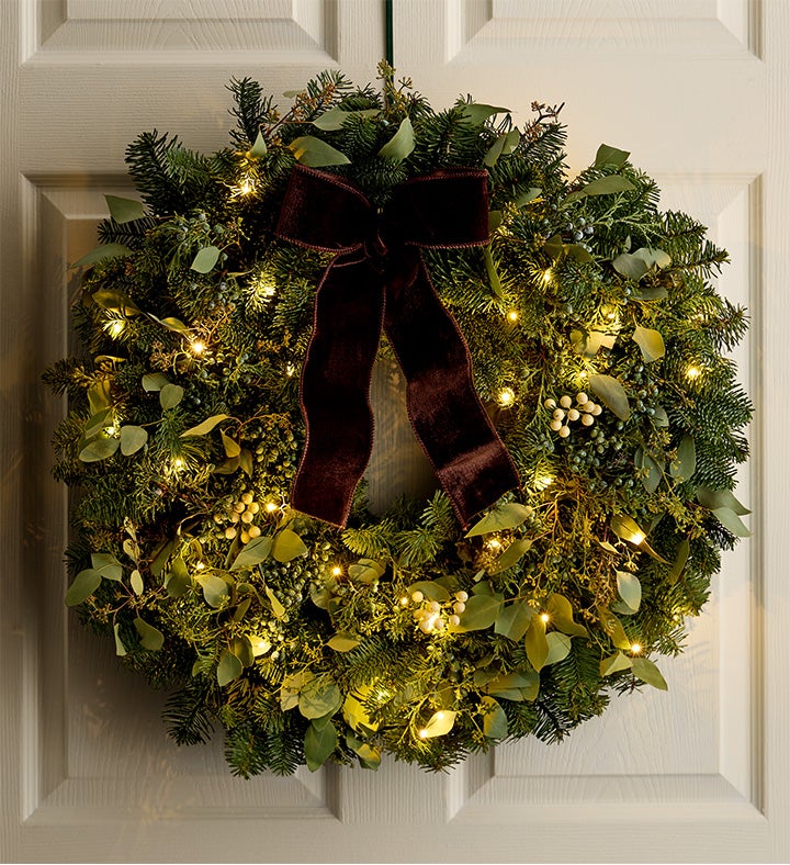 Fresh Eucalyptus Wreath-24"