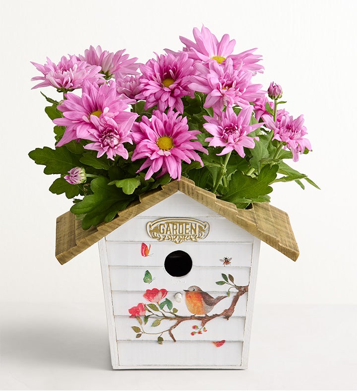 Birdhouse of Blooms™