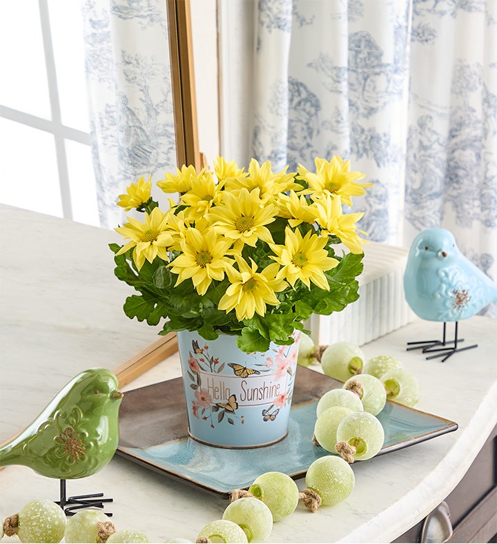 Hello Sunshine Mum | 1800Flowers