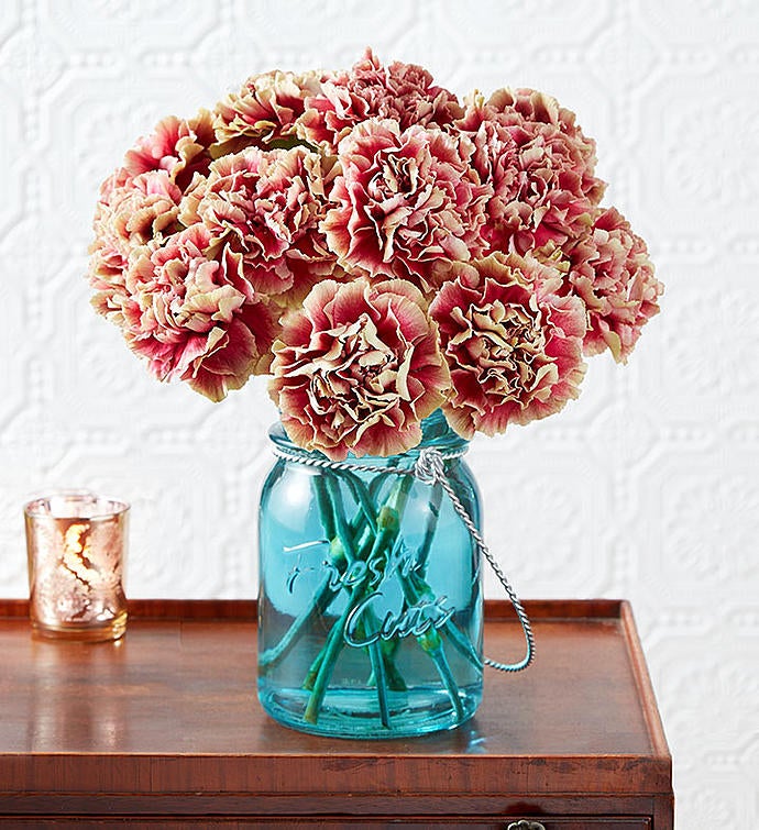 Antique Pink Carnations