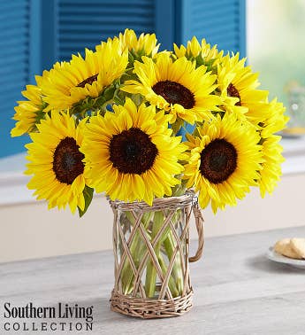 Sunflowers by Southern Living
