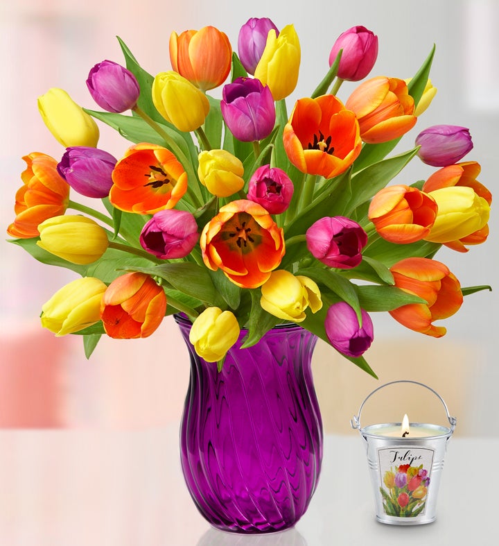 Assorted Tulips + Free Candle 40% Off