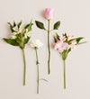 Cherished Blooms Bouquet
