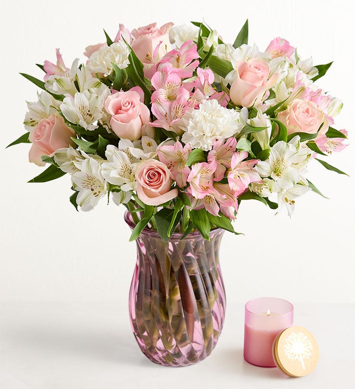 January Birth Flowers: The Carnation & Snowdrop | Petal Talk