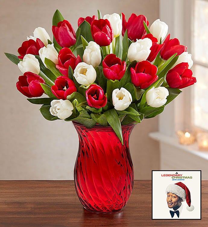 John Legend Holiday Album & Holiday Tulips