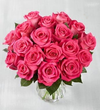 Ecuador Premiere Hot Pink Roses 18 Stems