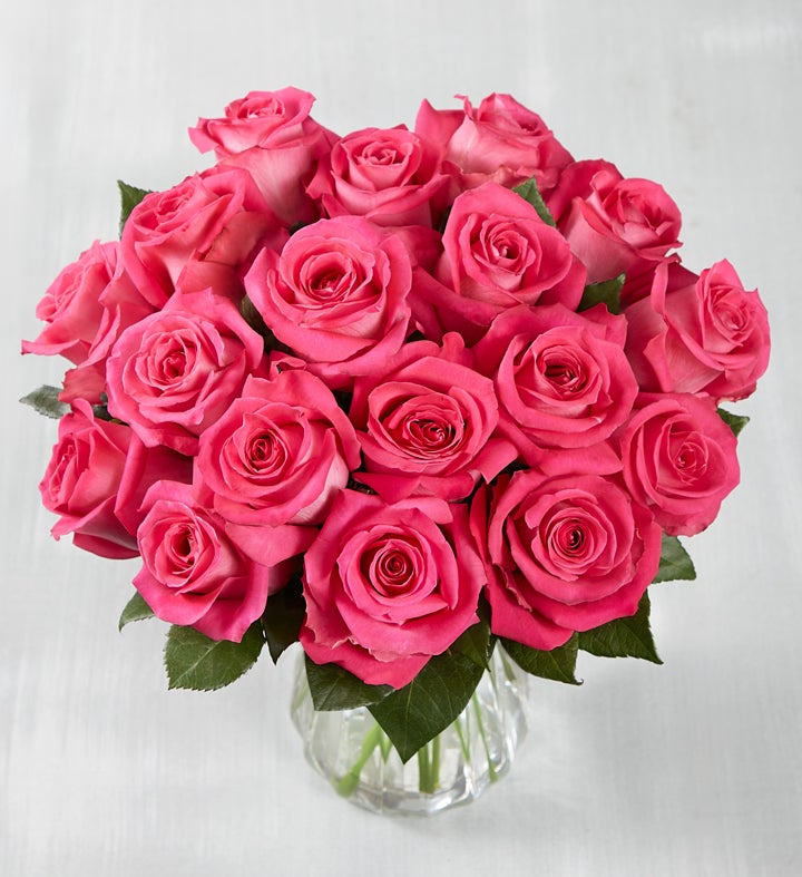 Ecuador Premiere Hot Pink Roses, 18 Stems