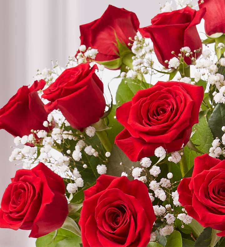 Red Roses Gift Club