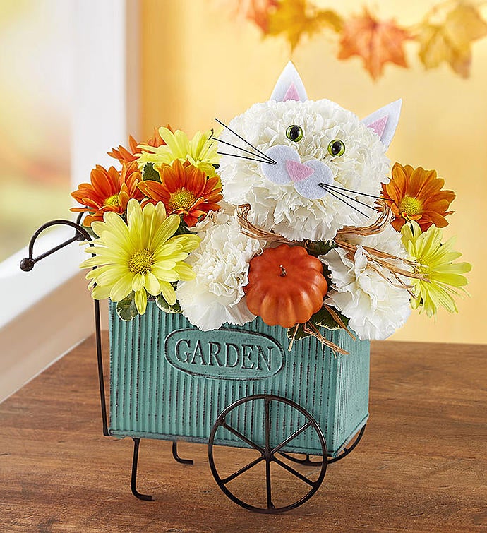 Fabulous Fall Feline™