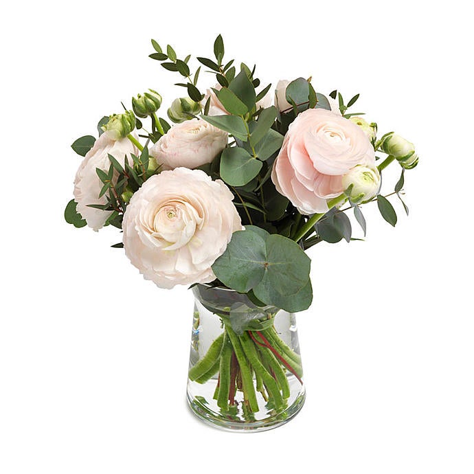 Pretty Pink Ranunculus