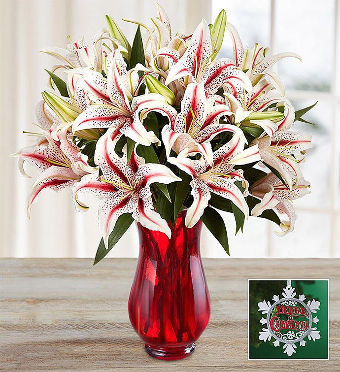 Housewarming Plants Housewarming Flowers