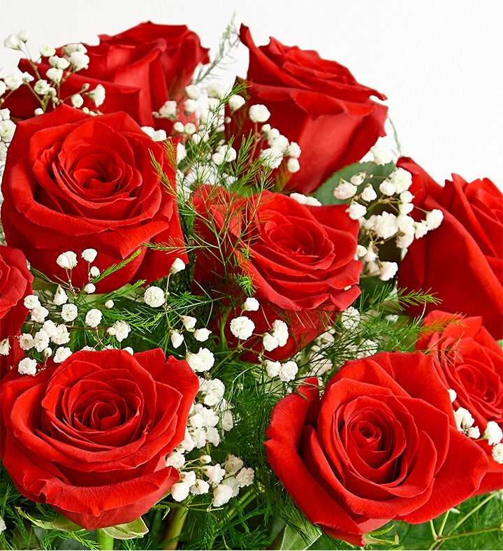 Rose Elegance™ Long Stem Red Roses Bouquet Only
