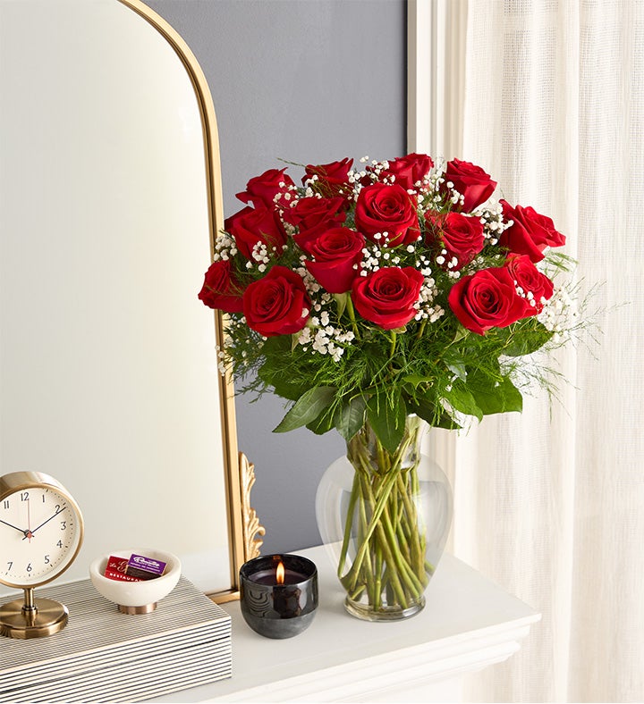 Rose Elegance™ Long Stem Red Roses Bouquet Only