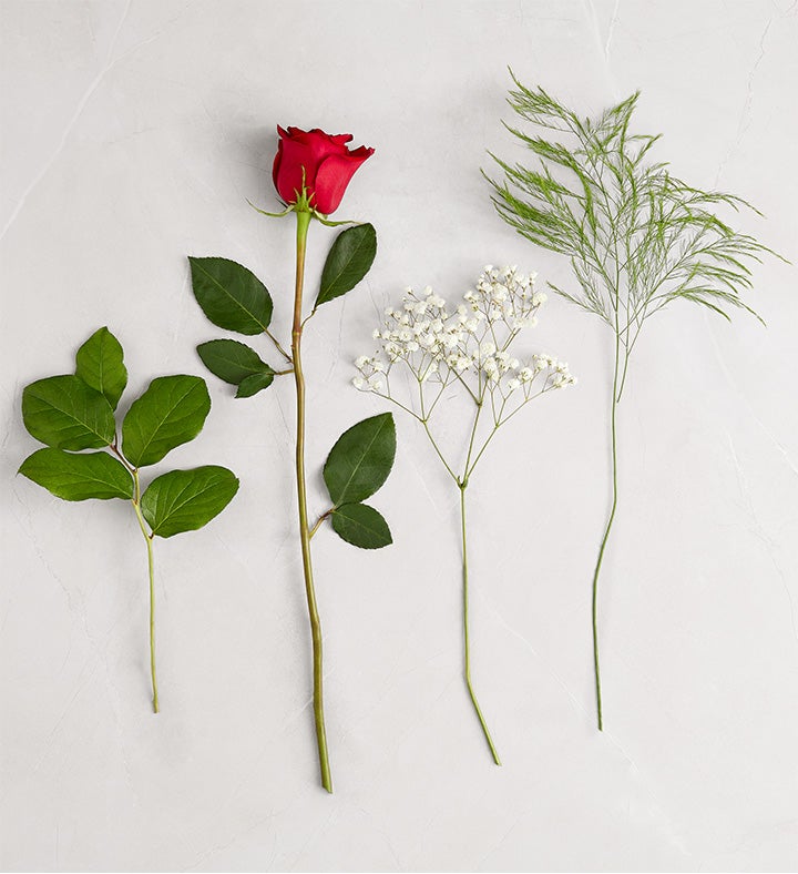 Rose Elegance™ Long Stem Red Roses Bouquet Only