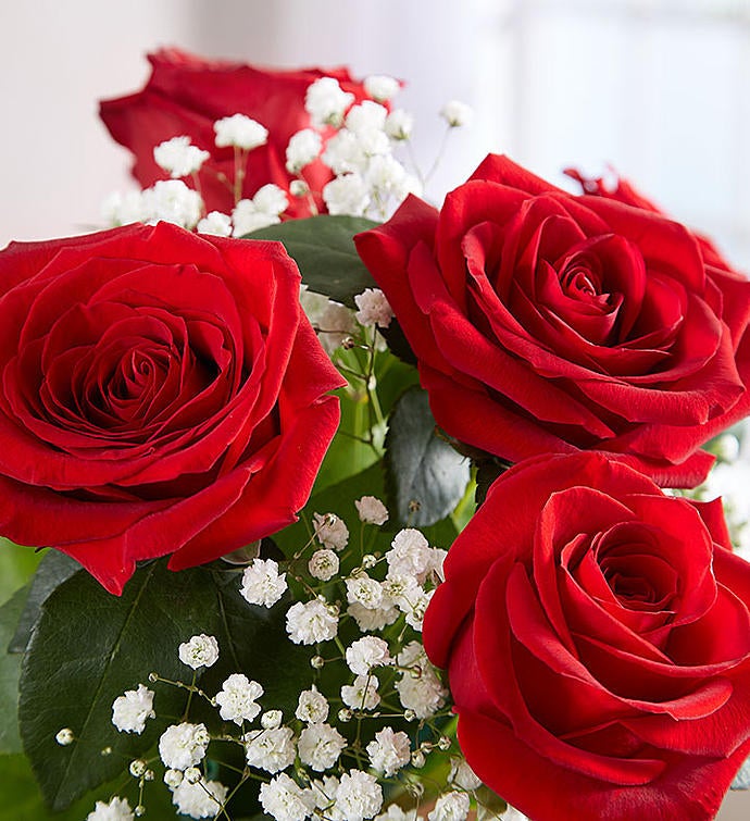 Rose Elegance™ Long Stem Red Roses - One Dozen