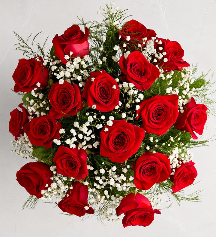 Rose Elegance™ Long Stem Red Roses Bouquet Only