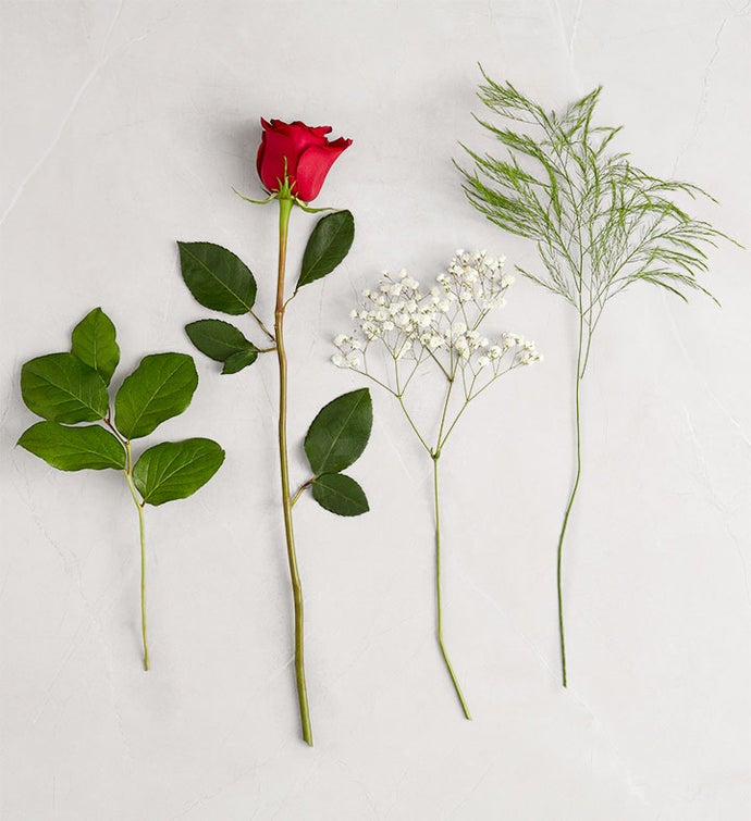 Ultimate Elegance™ Long Stem Red Roses