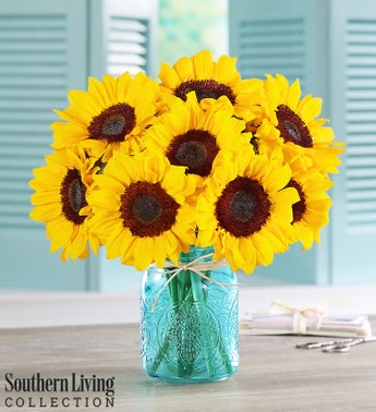 Sunflowers by Southern Living