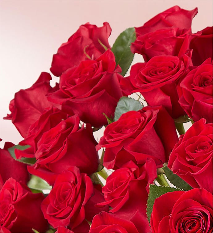 100 Premium Long Stem Red Roses 163009