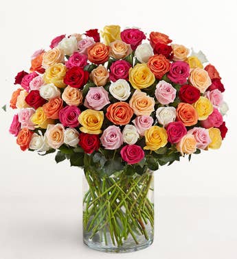 100 Premium Long Stem Multicolored Roses