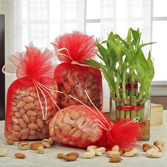 Best Combo-Diwali Gift