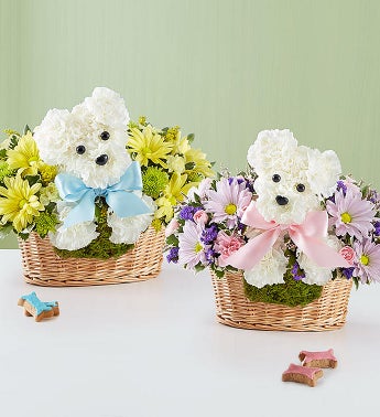 new baby flowers gifts