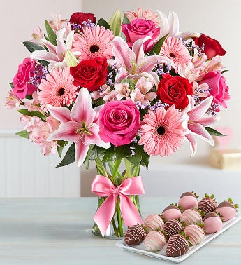 Fields of Europe Romance with Strawberries