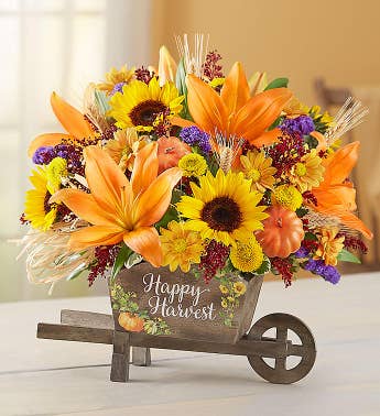 Outside the United States Please select a country. India Online Florists website has been re-launched and now Sending Flowers to India Same Day with Free Shipping is more quick and safe. Website is absolutely secured and you can now choose to Send Flower, Cakes and Gifts with Free Home Delivery of Presents on the ordered date and even at Midnight all over the country.