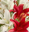 Holiday Lily Bouquet™
